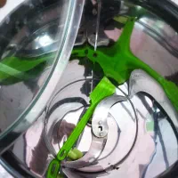 سبزی خردکن|خردکن، آسیاب، غذاساز|قم, ناصردیوان|دیوار