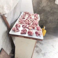 گوسفندزنده  کشتاری درتهران وحومه