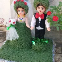 سبزه|گل و گیاه طبیعی|کوهدشت, |دیوار