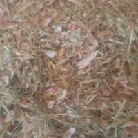 تحویل کاه لوبیا درجه یک