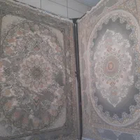 فرش دستباف گونه (گل رز)|فرش|شیراز, کیان آباد|دیوار