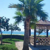 تور آفر کیش هوایی ،/بهشت آرامش و هیجان