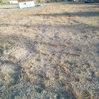 فروش زمین در منطقه ییلاقی فولاد محله|فروش زمین و ملک کلنگی|شهمیرزاد, |دیوار