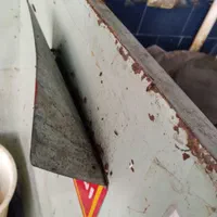 سمپاشی سم پاشی سوسک ساس در تمام نقاط مشهد|خدمات نظافت|مشهد, پورسینا|دیوار