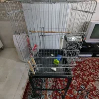 قفس کاسکویی بزرگ