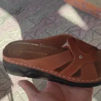 انواع دمپایی ۲۰۰|کیف، کفش، کمربند|دهدشت, |دیوار