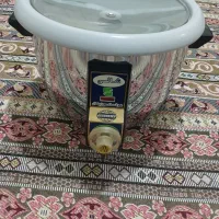 پلوپز برقی
