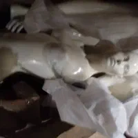 دو عدد مانکن در حد نو