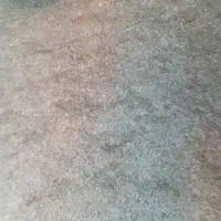 کاه درجه|لوازم جانبی حیوانات|گنبد کاووس, |دیوار