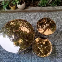 میز عسلی آیینه ای|مبلمان خانگی و میز عسلی|رشت, معلم|دیوار