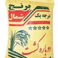 برنج درجه یک شمال کشت دوم تضمینی