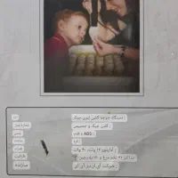 دستگاه جوجه کشی نو نو|لوازم جانبی حیوانات|هشتگرد, ینگی امام|دیوار