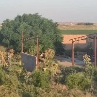 فروش ۲۸۰۰متر باغ و دامداری در تربت جام|فروش دفتر صنعتی، کشاورزی، تجاری|تربت جام, میان جام|دیوار