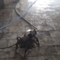 لوله بازکنی تخلیه چاه لواسان فشم میگون شمشک اوشان|خدمات پیشه و مهارت|لواسان, |دیوار