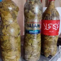 درست کردن دلمه پذیرفته میشود