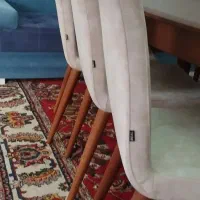 میز غذا خوری هشت نفره برند رئال در حد نو