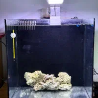 آکواریوم آب شور