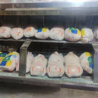 مرغ گوشت گرم وتازه ثبت سفارش حتی برای مجالس شما|خدمات پذیرایی، مراسم|آسمینون, |دیوار