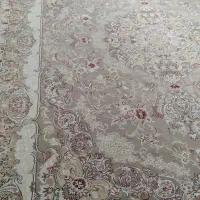 آرکوپال شمل بنفش