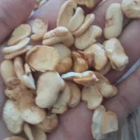 باقالی خشک