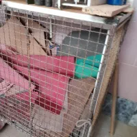 قفسه کبوتر و بوفه