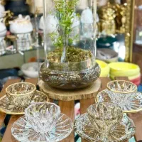 سرویس کریستال پذیرایی ساکورا|ظروف سرو و پذیرایی|تالش, تالش|دیوار