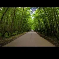 پارتنر گردش وکوهنوردی