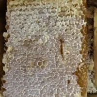 عسل صددرصد طبیعی