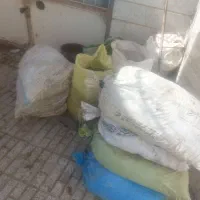 کودکبوتر..بارکفتر