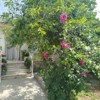 خانه ویلایی در بست‌