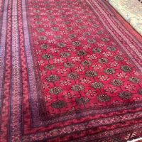 چهار متری کرک افغان