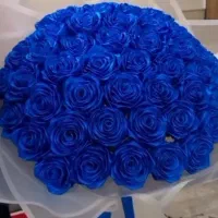 گل ربانی