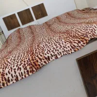 سرویس خواب|تخت و سرویس خواب|تهران, باغ فیض|دیوار