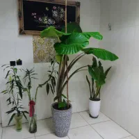 فروش ملک مسکونی