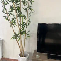 کل بامبو و گلدان