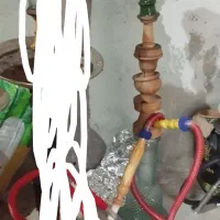 با کبوتر معاوضه میکنم