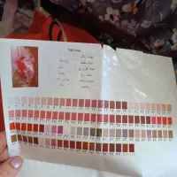 دار قالی|فرش|طرقبه, |دیوار