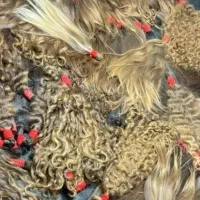 خریدموباقیمت بالا