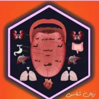 درآمد زایی آنلاین همراه با مدرک پیراپزشکی|خدمات آموزشی|رشت, آزادگان|دیوار
