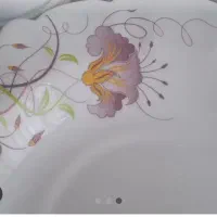 پلو خوری و خورشت خوری