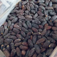 جذب نیروی بازاریاب خانم