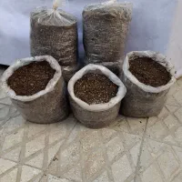 کوددامی فرآوری شده (کمپوست)|گل و گیاه طبیعی|بندرعباس, |دیوار