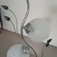 لوستر نو نو