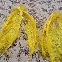 حیوان علامت (نقره وطلا کوب ساده شال کتیبه وپر)|کلکسیون اشیاء عتیقه|رشت, دیلمان|دیوار