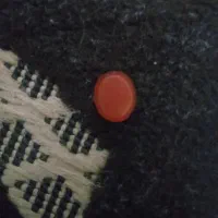 سنگ عقیق سلیمانی|جواهرات|بوشهر, |دیوار