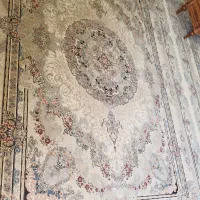 دوعدد فرشته ۱۲ متری|فرش|قم, انصار‌الحسین|دیوار