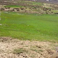 گردو تکون و بادوم تکون هستیم