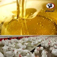 روغن سویا