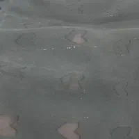 دو عدد چادر شب|لباس|تبریز, |دیوار