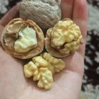 گردو درجه یک کهمان بشکن ببر